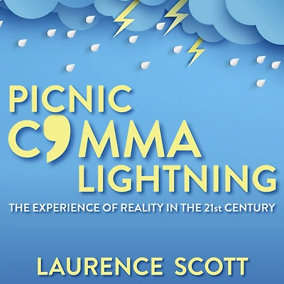 Picnic Comma Lightning: the Experience of Reality Twenty-First Century