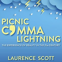 Picnic Comma Lightning: the Experience of Reality Twenty-First Century