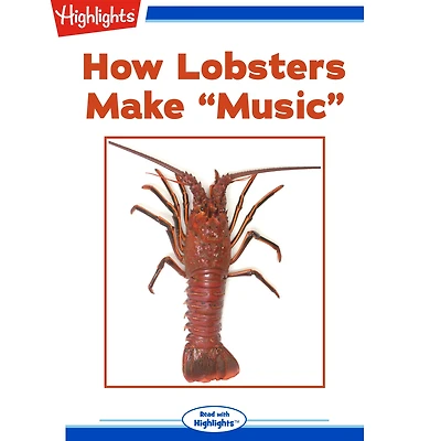How Lobsters Make Music