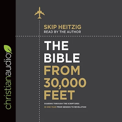 the Bible from 30,000 Feet: Soaring Through Scriptures One Year Genesis to Revelation (Abridged)