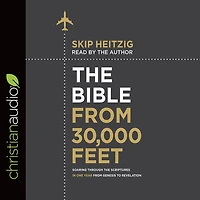 the Bible from 30,000 Feet: Soaring Through Scriptures One Year Genesis to Revelation (Abridged)