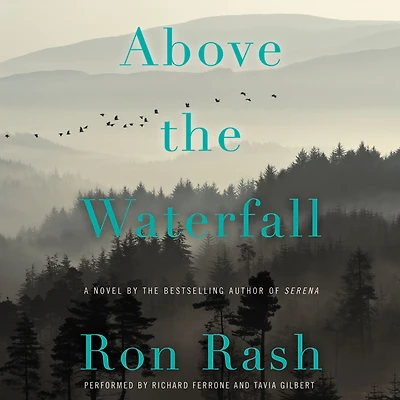 Above the Waterfall: A Novel