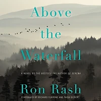 Above the Waterfall: A Novel