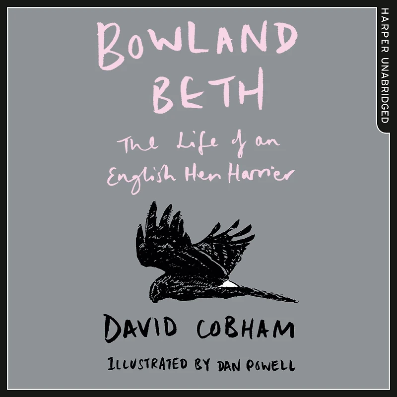 Bowland Beth: The Life of an English Hen Harrier