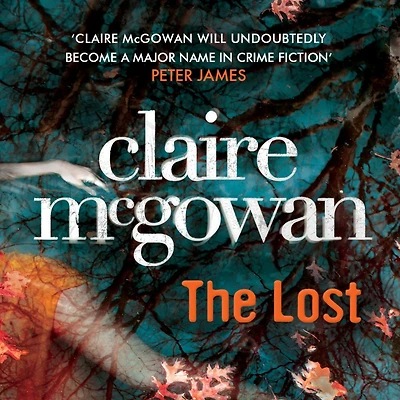 The Lost: A gripping Irish crime thriller with explosive twists
