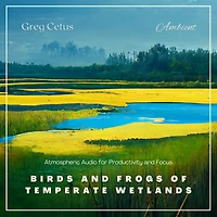Birds and Frogs of Temperate Wetlands: Atmospheric Audio for Productivity and Focus