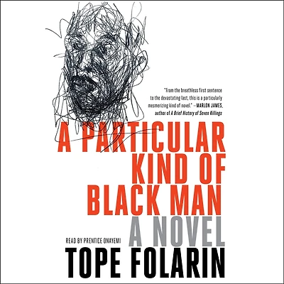 A Particular Kind of Black Man: Novel