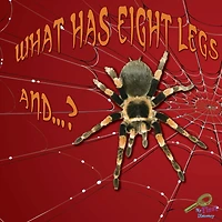What Has Eight Legs and....?