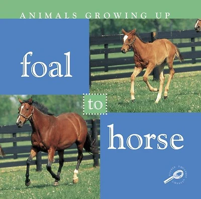 Foal to Horse: Life Science - Animals Growing Up