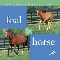 Foal to Horse: Life Science - Animals Growing Up