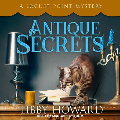 Antique Secrets (Locust Point Mystery Series, #3)