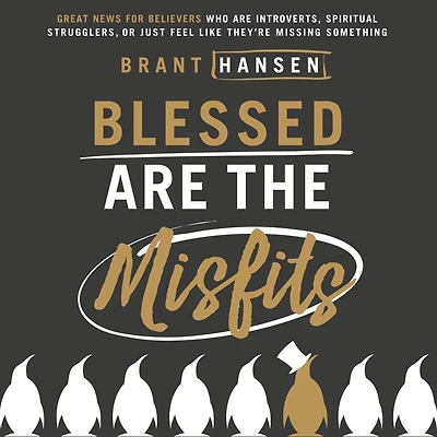 Blessed are the Misfits: Great News for Believers who Introverts, Spiritual Strugglers, or Just Feel Like They're Missing Something