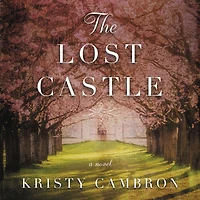 The Lost Castle: A Split-Time Romance