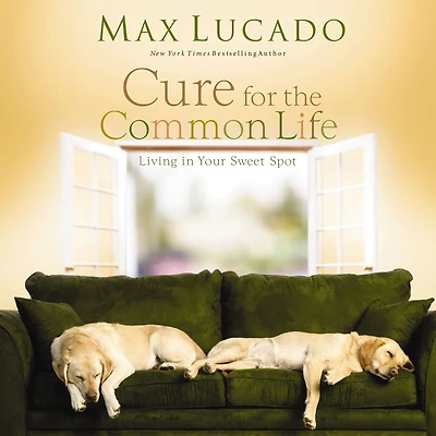 Cure for the Common Life: Living Your Sweet Spot