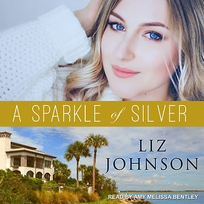 A Sparkle of Silver (Georgia Coast Romance Book #1)