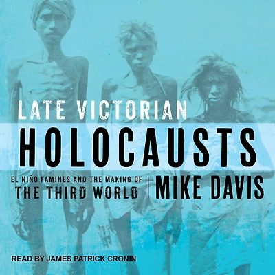 Late Victorian Holocausts: El Niño Famines and the Making of Third World