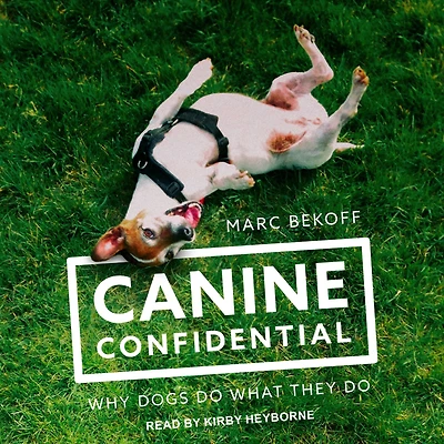 Canine Confidential: Why Dogs Do What They