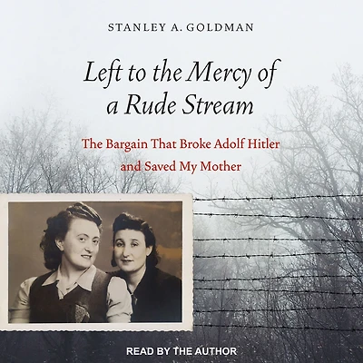 Left to The Mercy of a Rude Stream: Bargain That Broke Adolf Hitler and Saved My Mother