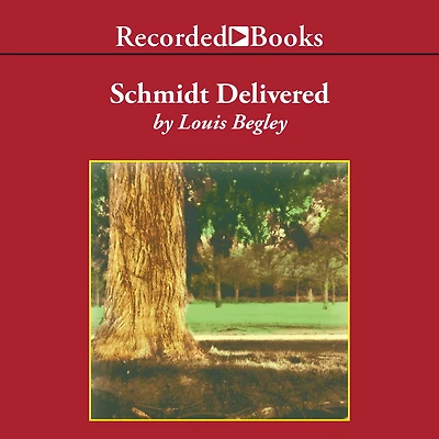 Schmidt Delivered