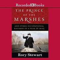 the Prince of Marshes: And Other Occupational Hazards a Year Iraq