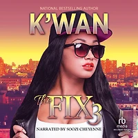 The Fix 3