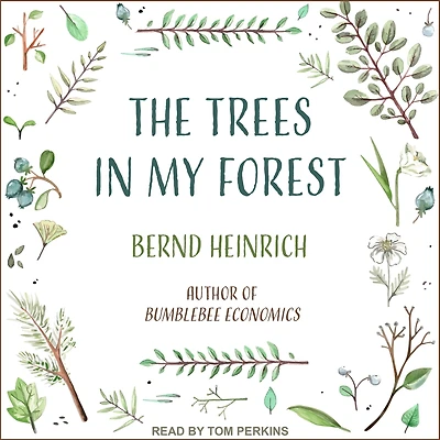 The Trees My Forest