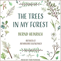 The Trees My Forest