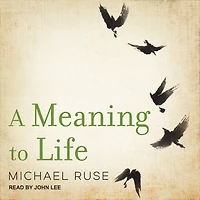 A Meaning to Life