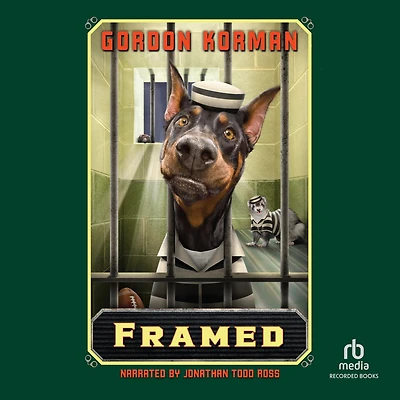 Framed (Swindle Series #3)