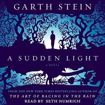 A Sudden Light