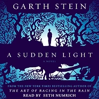 A Sudden Light