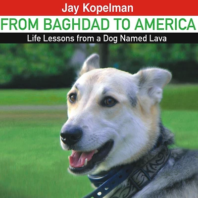 from Baghdad to America: Life Lessons a Dog Named Lava