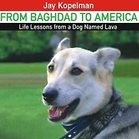 from Baghdad to America: Life Lessons a Dog Named Lava