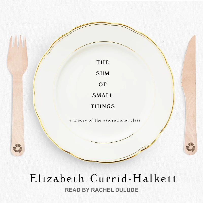 the Sum of Small Things: A Theory Aspirational Class