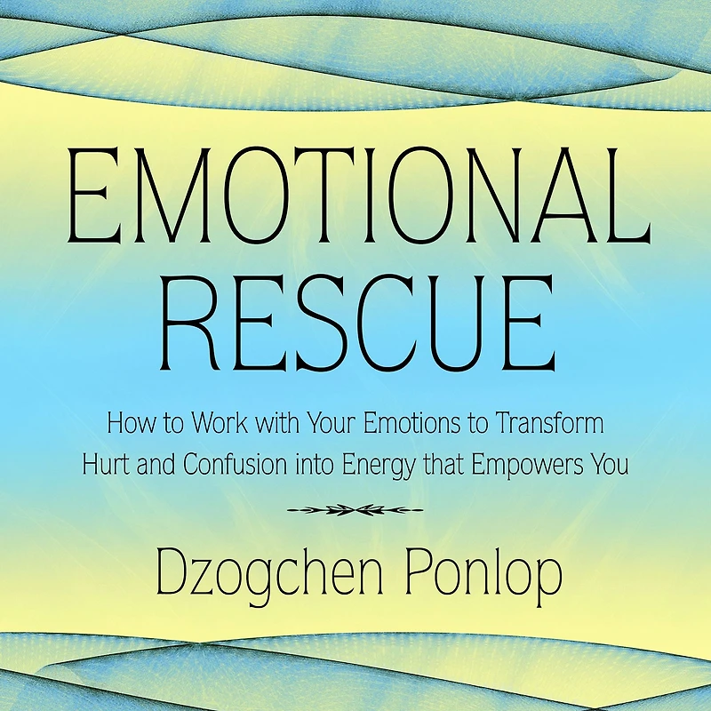 Emotional Rescue: How to Work with Your Emotions Transform Hurt and Confusion into Energy That Empowers You