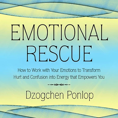 Emotional Rescue: How to Work with Your Emotions Transform Hurt and Confusion into Energy That Empowers You