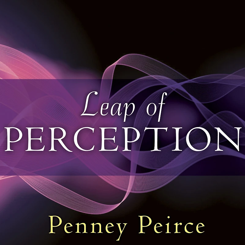 Leap of Perception: The Transforming Power Your Attention