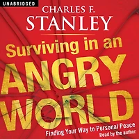 Surviving an Angry World: Finding Your Way to Personal Peace