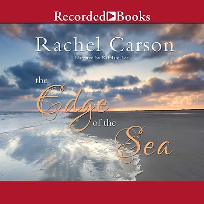 the Edge of Sea