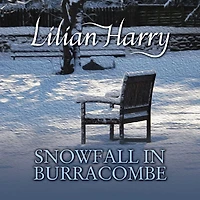 Snowfall Burracombe