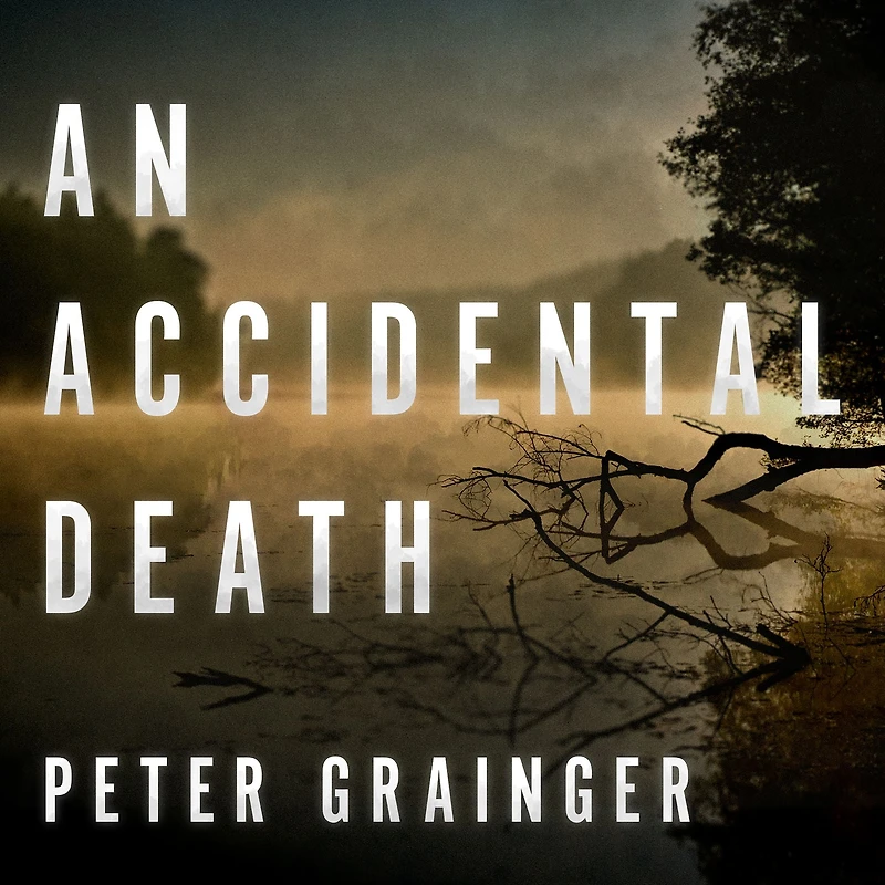 An Accidental Death: A Novel