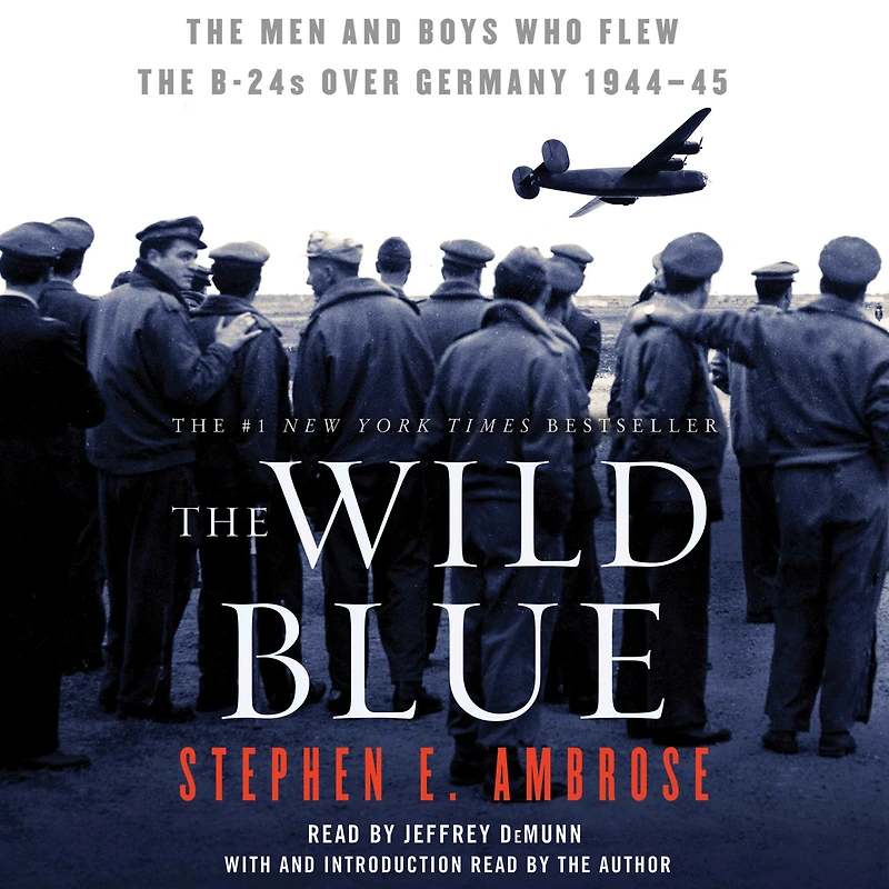 the Wild Blue: Men and Boys Who Flew B-24s Over Germany