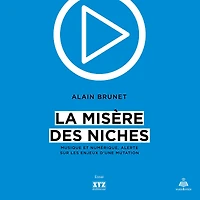 La misère des niches: Musique et numérique, alerte sur les enjeux d'une mutation