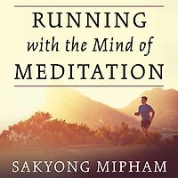 Running with the Mind of Meditation: Lessons for Training Body and