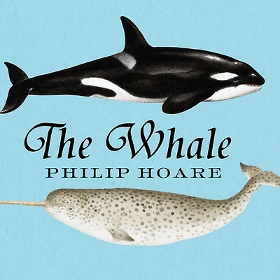 the Whale: Search of Giants Sea