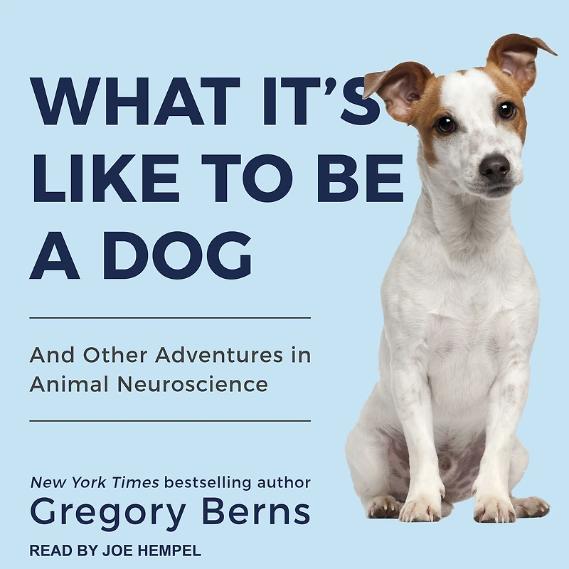 What It's Like to Be a Dog: And Other Adventures Animal Neuroscience