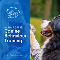Canine Behaviour Training
