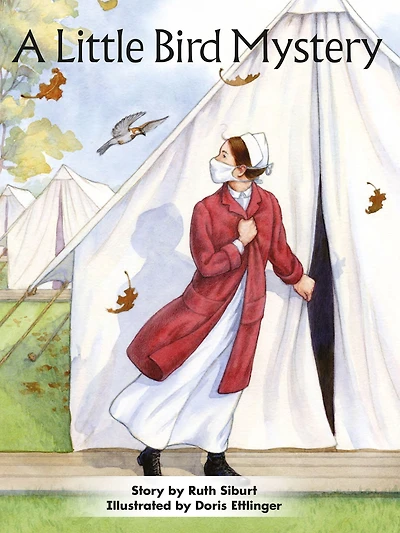 A Little Bird Mystery: Voices Leveled Library Readers