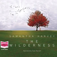 The Wilderness