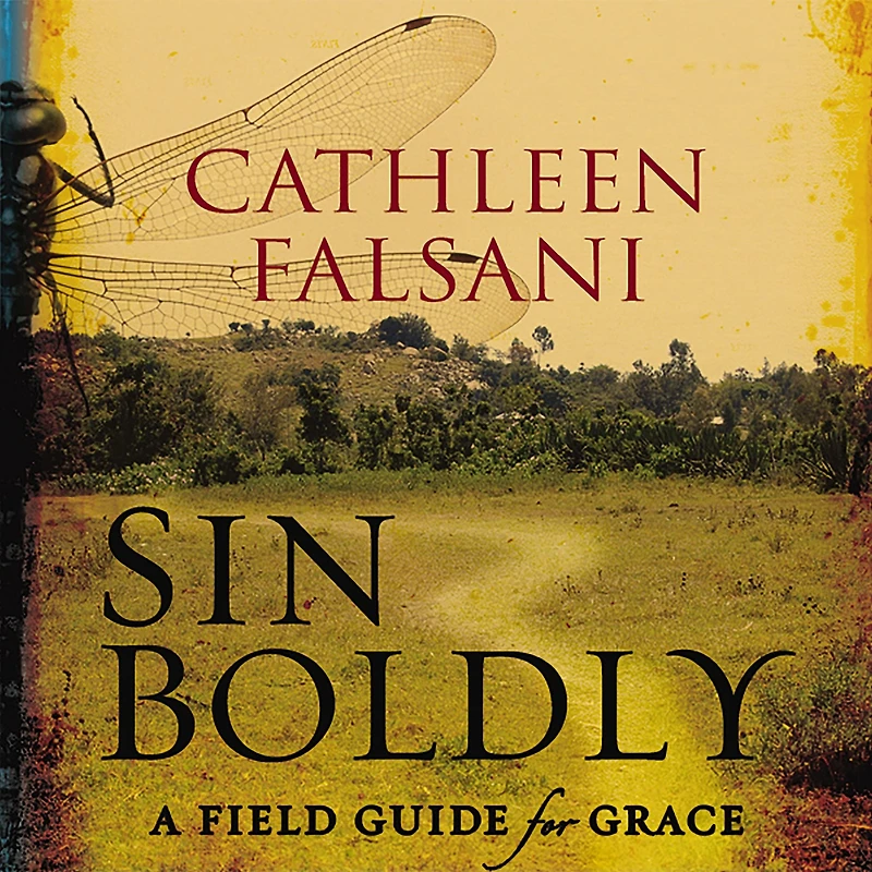 Sin Boldly: A Field Guide for Grace